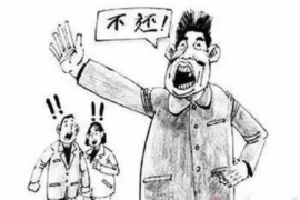 甘肃企业清欠服务